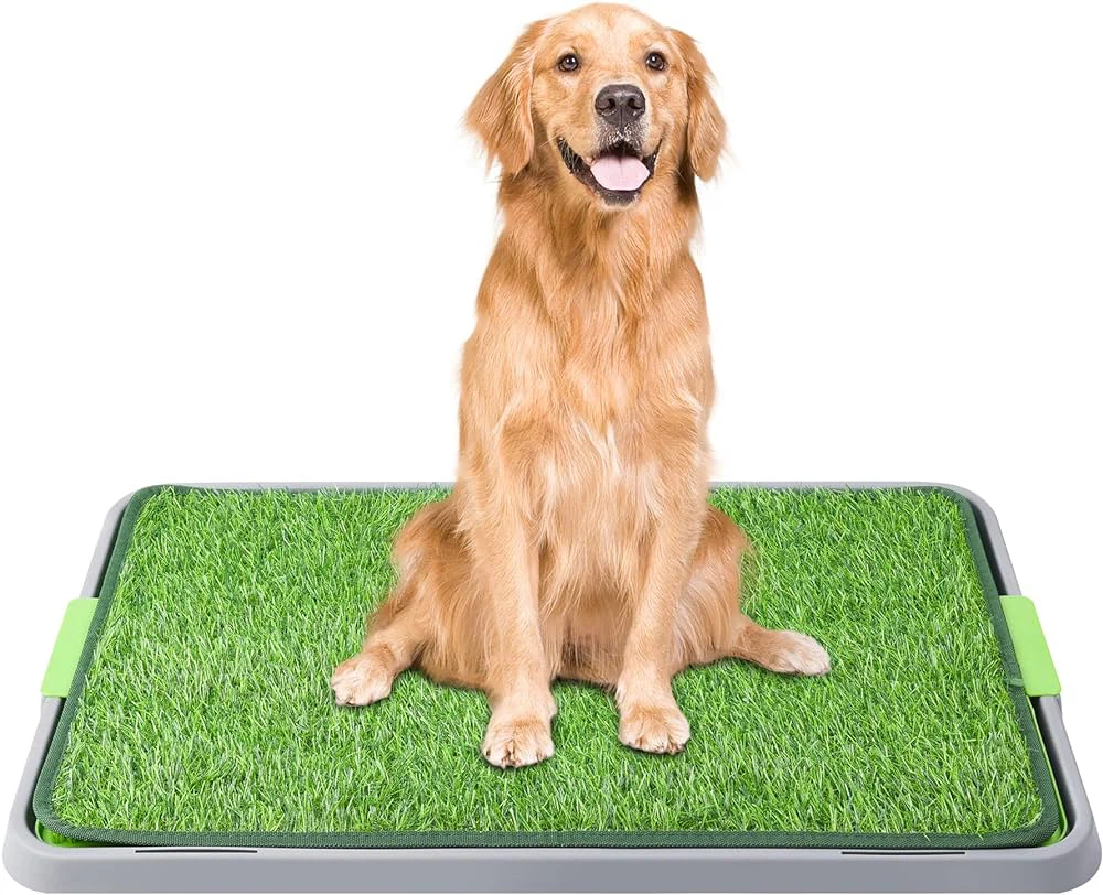 Dog Potty Turf Application Dog Potty Turf Application